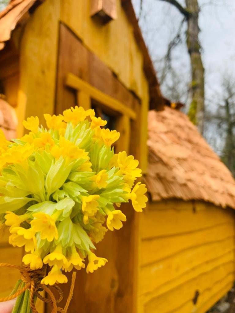 Camping Ushuaia Villages Au Bois Joli Andryes Εξωτερικό φωτογραφία